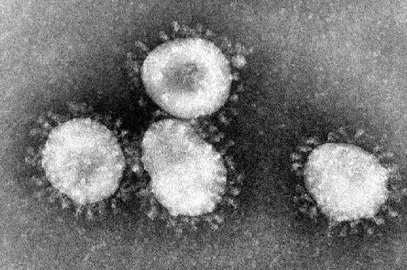 Selfish U.S., a World Enemy to Combat the Coronavirus. 64054.jpeg