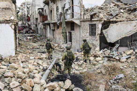 Russia will destroy terrorists in Eastern Ghouta - Putin. 62075.jpeg