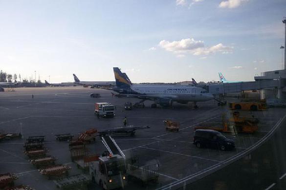 Man dies bizarre death on runway of Moscow's Sheremetyevo International Airport. 63229.jpeg