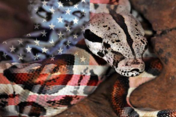 The United States: A Nation on Suicide Watch. 63848.jpeg