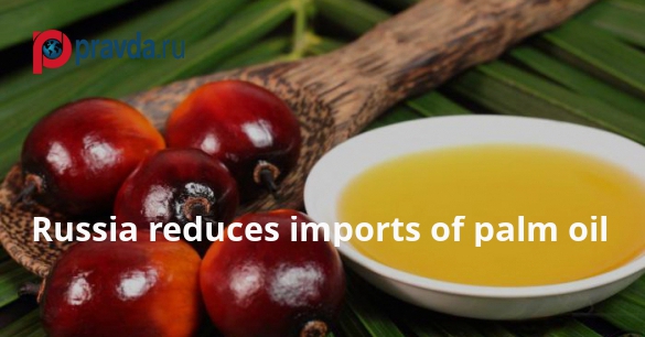 Russia reduces imports of palm oil for the first time in many years