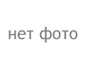 Sadomasochism finally explained