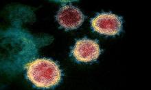 The virus of fear