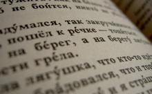 Russia to sanction others states for banning Russian language