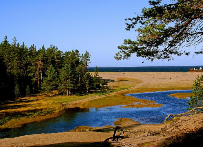 Who owns Nature?