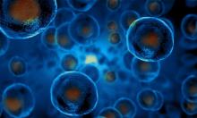 What is science?